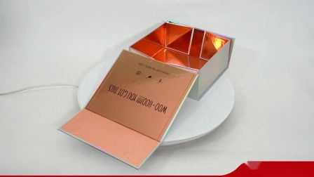 Caja de regalo de embalaje de papel de embalaje de cartón plegable rígido personalizada impresa en negro de lujo al por mayor de China personalizada con magnético